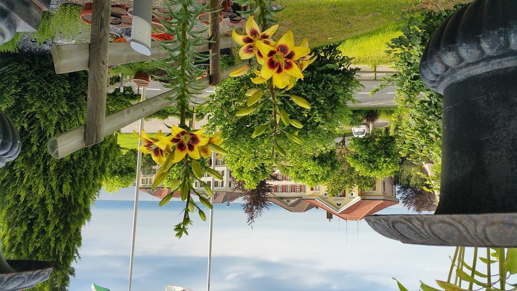Gasthof Krone Wolfhalden Bagian luar foto